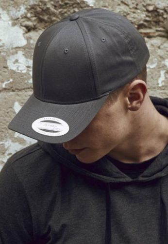 Curved Classic Snapback - charcoal