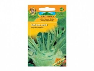 Nohelgarden Kedluben pozdní bílý GIGANT