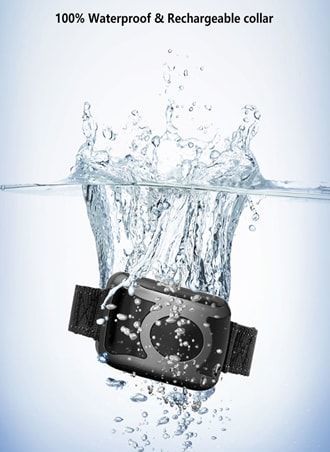 Patpet Obojek a přijímač Patpet T700