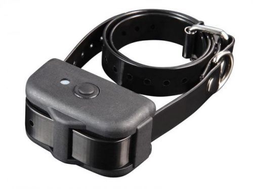 Reedog Obojek a přijímač Reedog MX-600 Medium