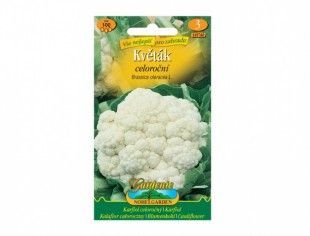 Nohelgarden Květák celoroční