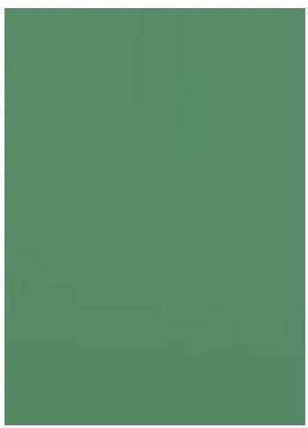 Barevný karton TBK 06 tmavě zelený