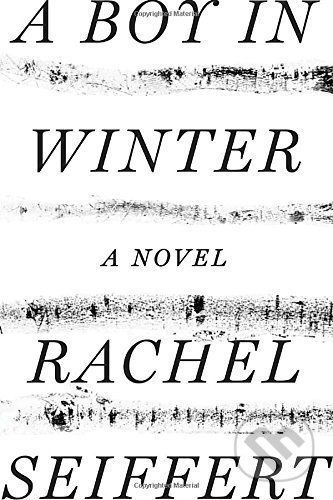 A Boy in Winter - Rachel Seiffert