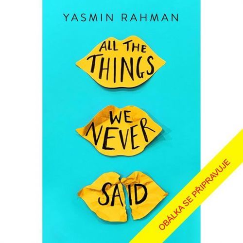 Rahmanová Yasmin: Co jsme si nikdy neřekli