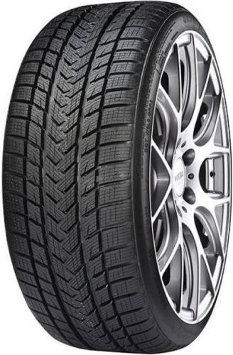 GRIPMAX PRO WINTER 255/40 R 21 102V