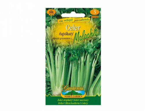 Celer řapíkatý Malachit 500 semen