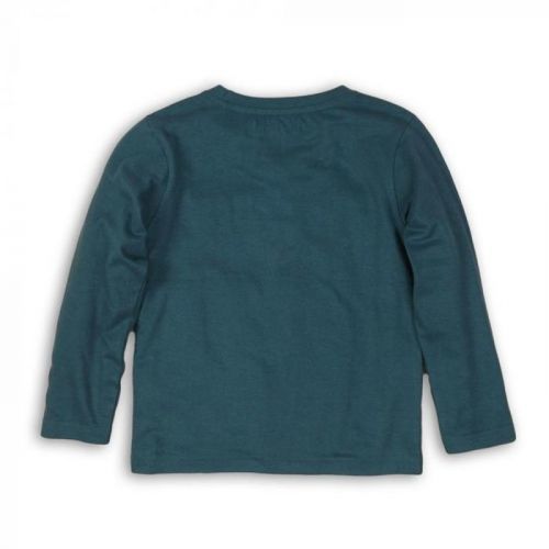 Minoti Tričko chlapecké bavlněné s dlouhým rukávem, Minoti, SKATE 1, kluk