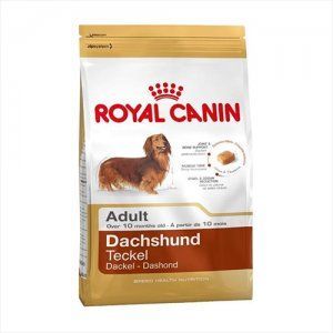 Royal Canin JEZEVČÍK ADULT (>10m) 7.5kg