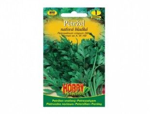 Nohelgarden Petržel naťová hladká