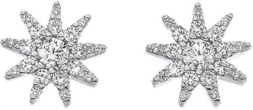 Hot Diamonds Třpytivé stříbrné náušnice Emozioni Stella EE037