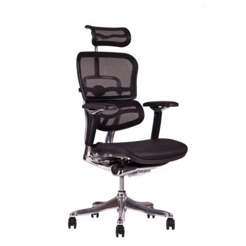 Kancelářská židle na kolečkách Office Pro SIRIUS Q24 – s područkami i podhlavníkem, nosnost 150 kg MESH černá