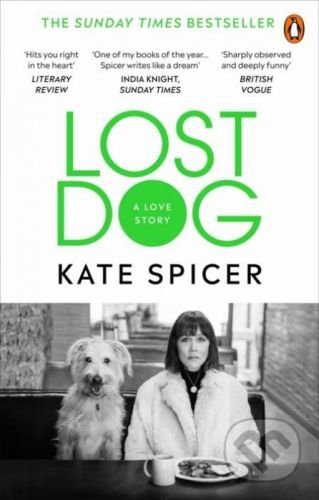 Lost Dog - Kate Spicer