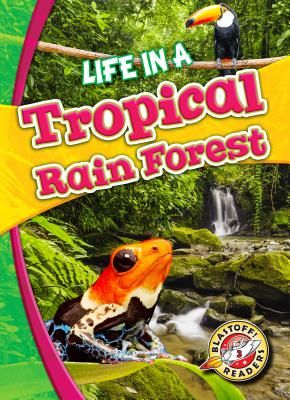 Life in a Tropical Rain Forest (Schuetz Kari)(Pevná vazba)