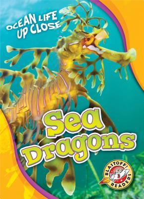 Sea Dragons (Adamson Heather)(Pevná vazba)