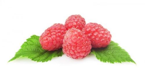 Ovocná náplň Malina 1 kg - Zeelandia