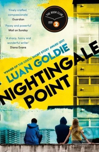 Nightingale Point - Luan Goldie