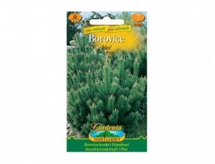 Nohelgarden Borovice kleč