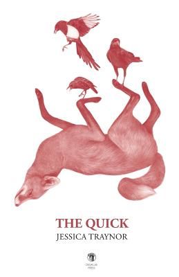 The Quick (Traynor Jessica)(Paperback)