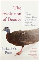 The Evolution of Beauty: How Darwin's Forgotten Theory of Mate Choice Shapes the Animal World - And Us (Prum Richard O.)(Paperback)