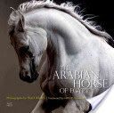 Arabian Horse of Egypt (Culbertson Cynthia)(Paperback)