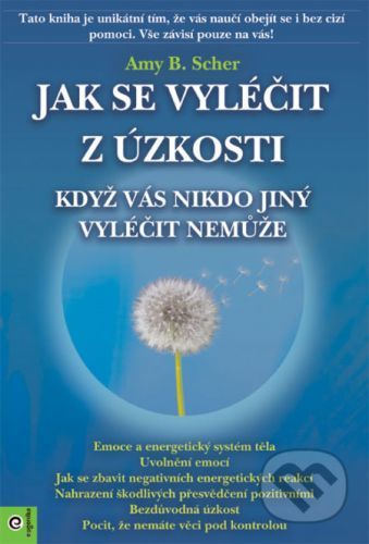 Jak se vyléčit z úzkosti, když vás nikdo jiný vyléčit nemůže - Amy B. Scher