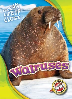 Walruses (Schuetz Kari)(Pevná vazba)