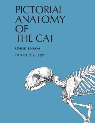 Pictorial Anatomy of the Cat (Gilbert Stephen G.)(Paperback)
