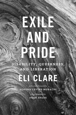 Exile and Pride: Disability, Queerness, and Liberation (Clare Eli)(Paperback)