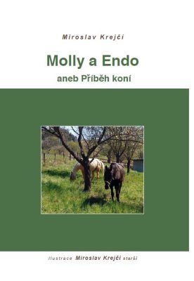 Molly a Endo - Miroslav Krejčí - e-kniha