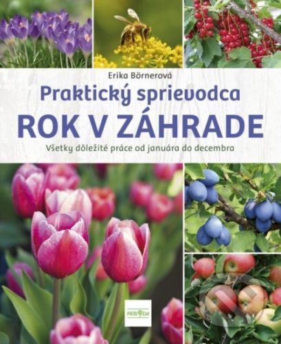 Rok v záhrade - Erika Börner