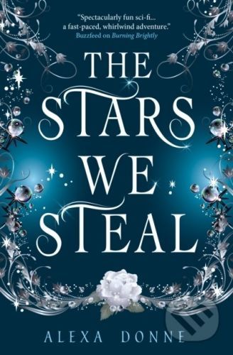 The Stars We Steal - Alexa Donne