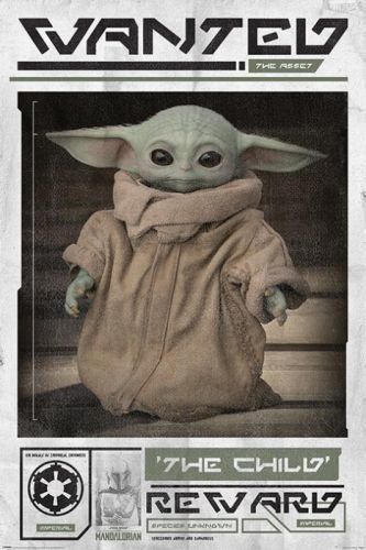PYRAMID INTERNATIONAL Plakát, Obraz - Star Wars: The Mandalorian - Wanted The Child (Baby Yoda), (61 x 91,5 cm)