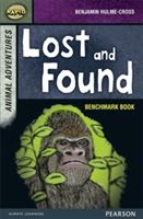 Rapid Stage 7 Assessment book: Lost and Found (Hulme-Cross Benjamin)(Paperback / softback)