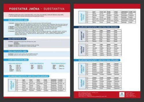 Podstatná jména - Přehledová tabulka učiva