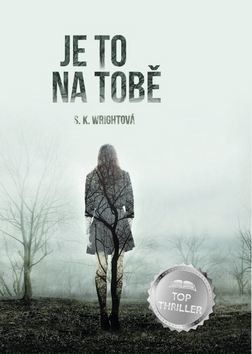 Je to na tobě - Wrightová S. K.