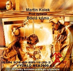 Bdelá kóma - Martin Kolek - e-kniha