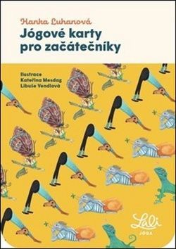 Jógové karty pro začátečníky - Libuše Vendlová, Hana Luhanová, Kateřina Mesdag