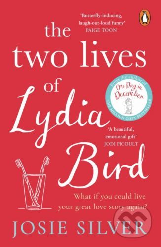 The Two Lives of Lydia Bird - Josie Silver