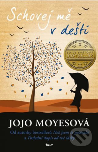 Schovej mě v dešti - Jojo Moyes
