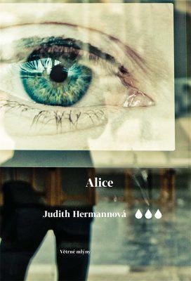 Alice - Judith Hermannová - e-kniha