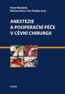 Anestezie a pooperační péče v cévní chirurgii - et al., Pavel Michálek, Michael Stern, Petr Štádler - e-kniha