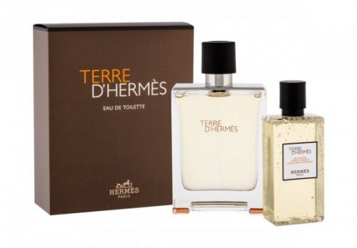 Toaletní voda Hermes - Terre D'Hermes 100 ml