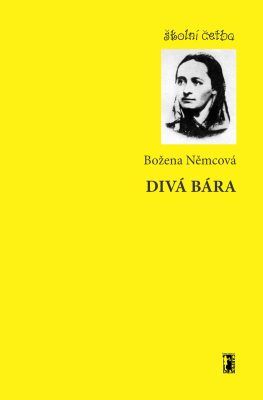 Divá Bára - Božena Němcová - e-kniha