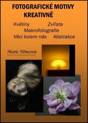 Fotografické motivy kreativně, Květiny Zvířata Makrofotografie Věci kolem nás Abstrakce - Marie Němcová - e-kniha