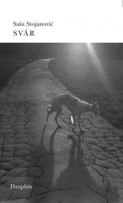 Svár - Saša Stojanovic - e-kniha