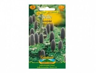 Nohelgarden Jedle korejská