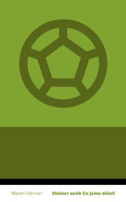 Steiner aneb Co jsme dělali - Martin Fahrner - e-kniha