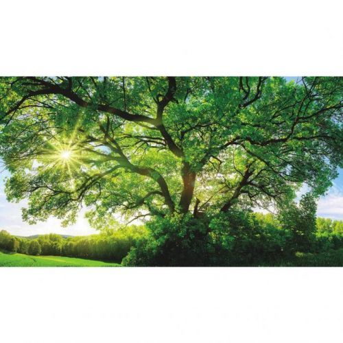 Obraz Na Akrylovém Skle Stromy 100/180/170 Cm
