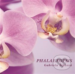 Phalaenopis - Gabriela Šípková