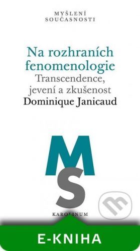 Na rozhraních fenomenologie - Dominique Janicaud